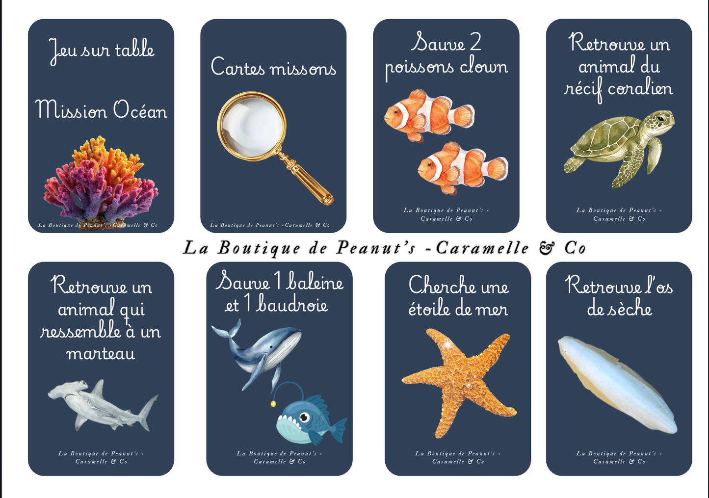 Mission Océan- les gardiens des animaux marins 🐋