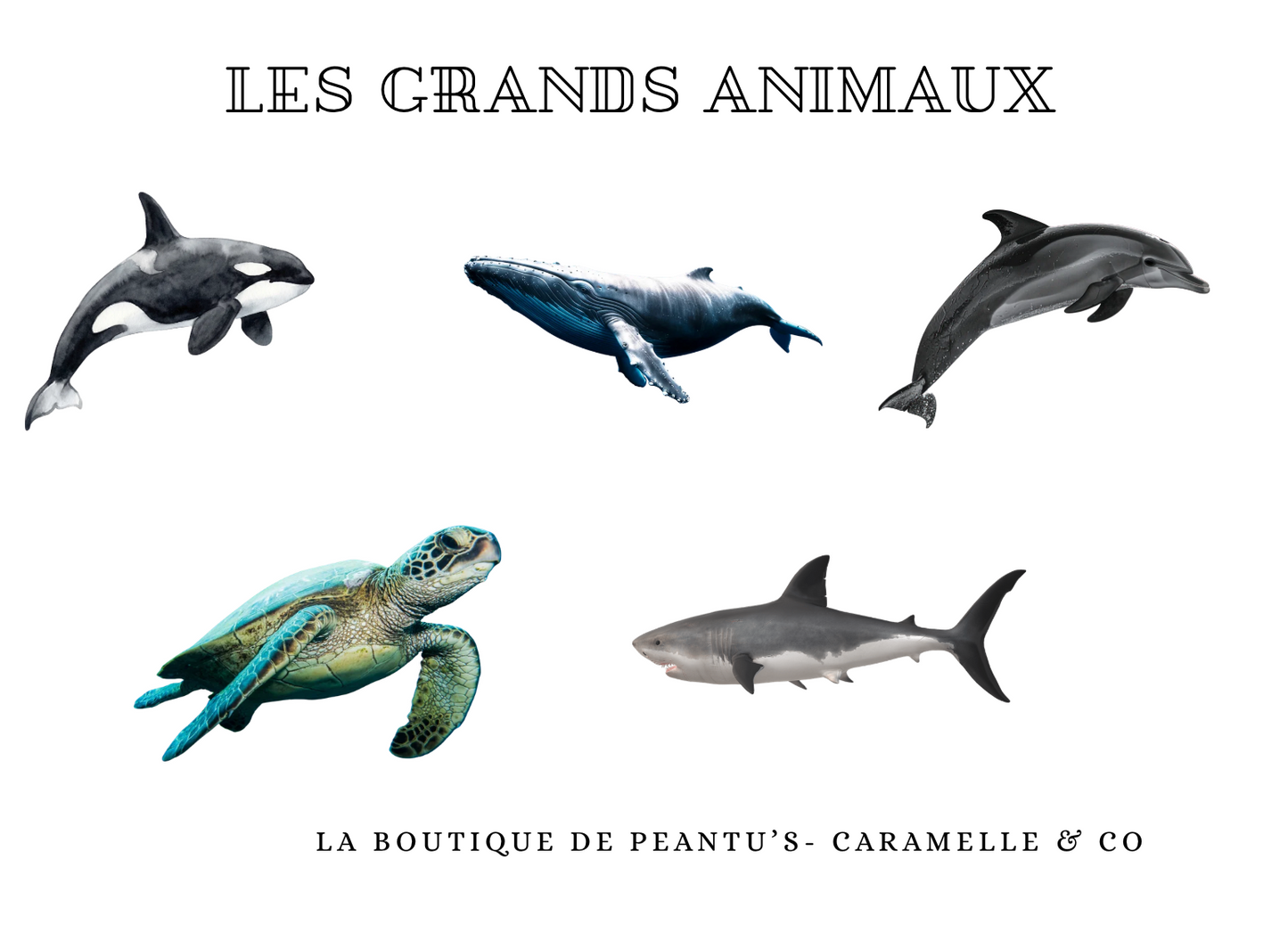 Noé, le petit pêcheur & Cie 🎣