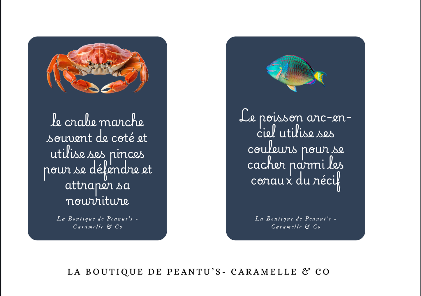 Noé, le petit pêcheur & Cie 🎣