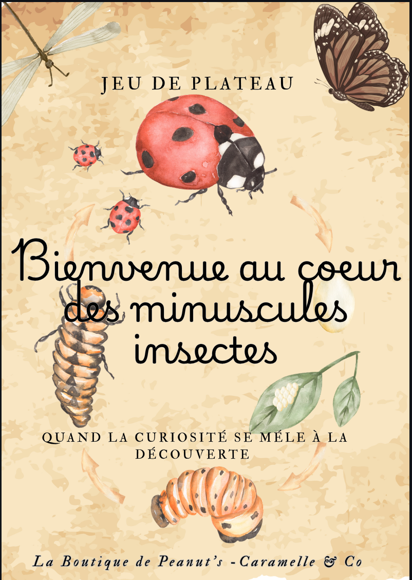 À la découverte des insectes 🐞