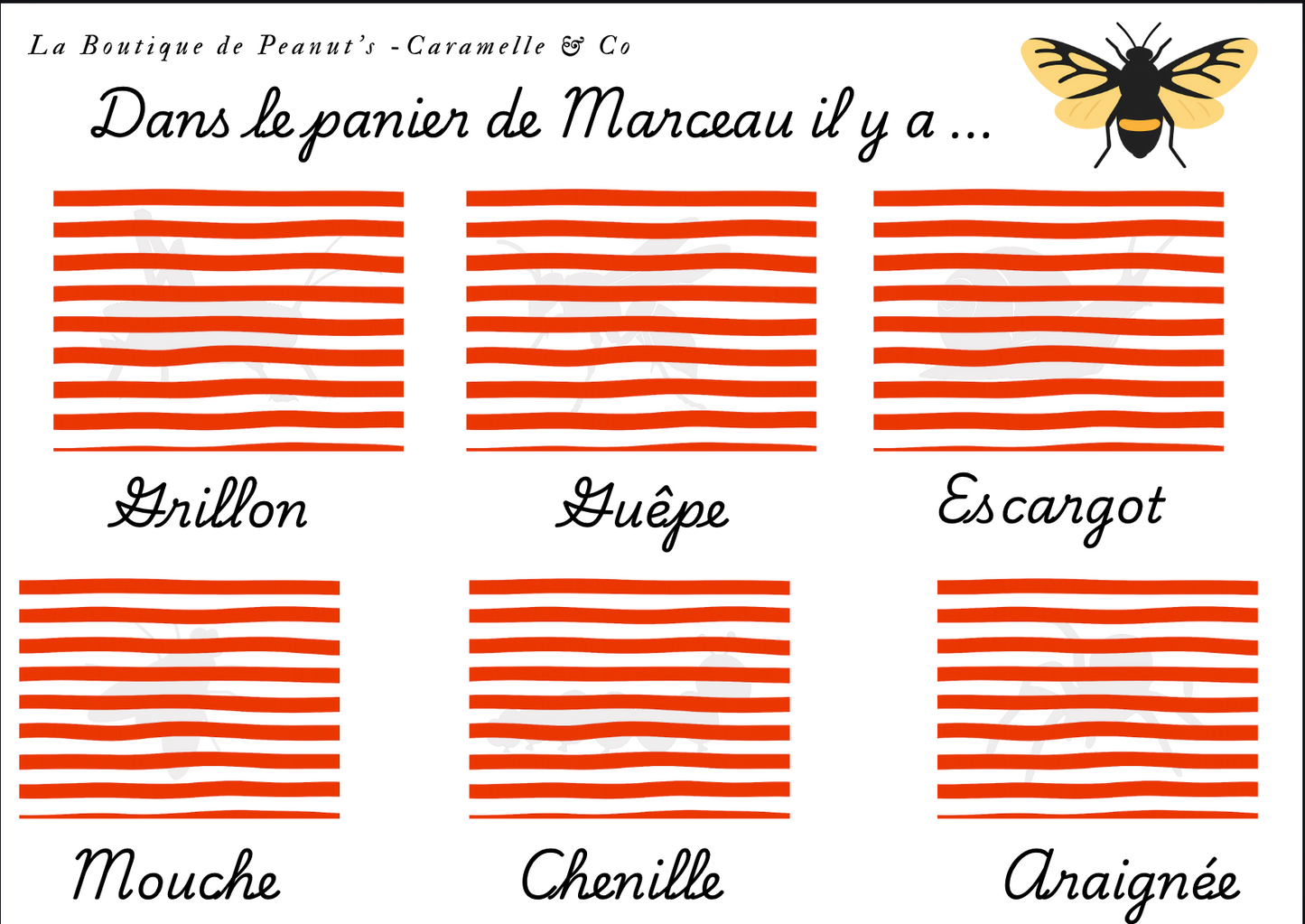 À la découverte des insectes 🐞