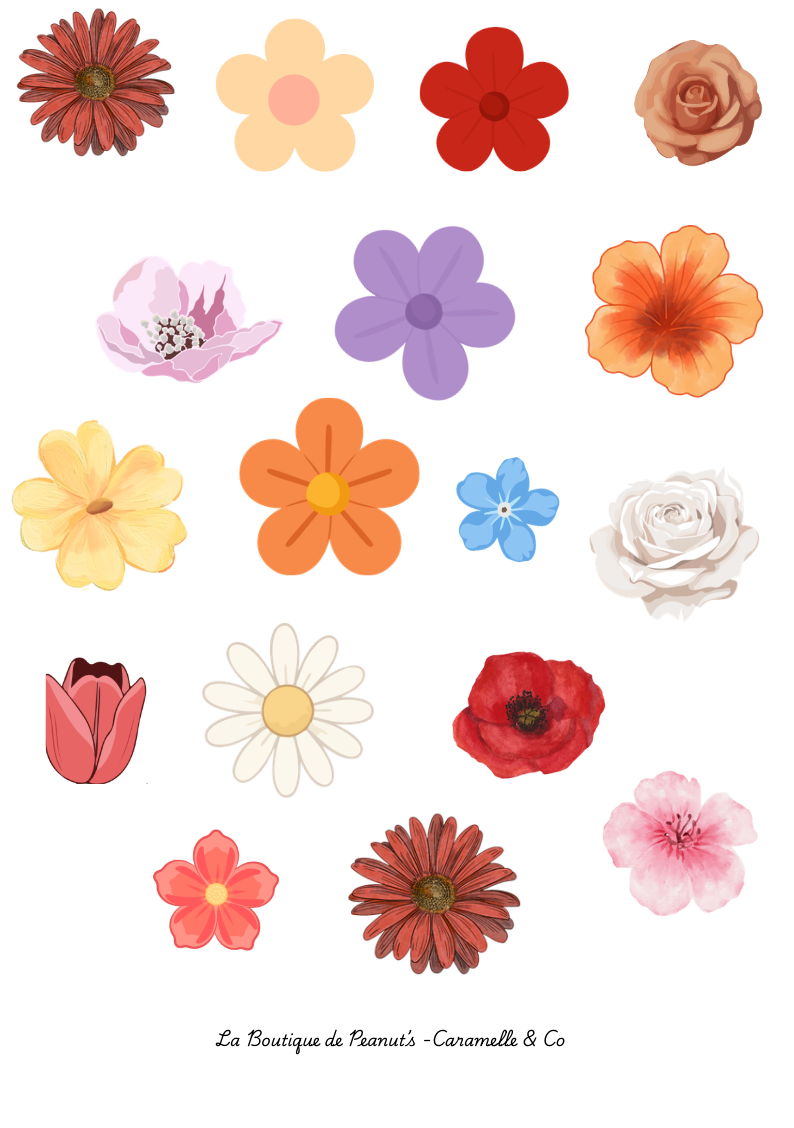 The flower garden 🌺