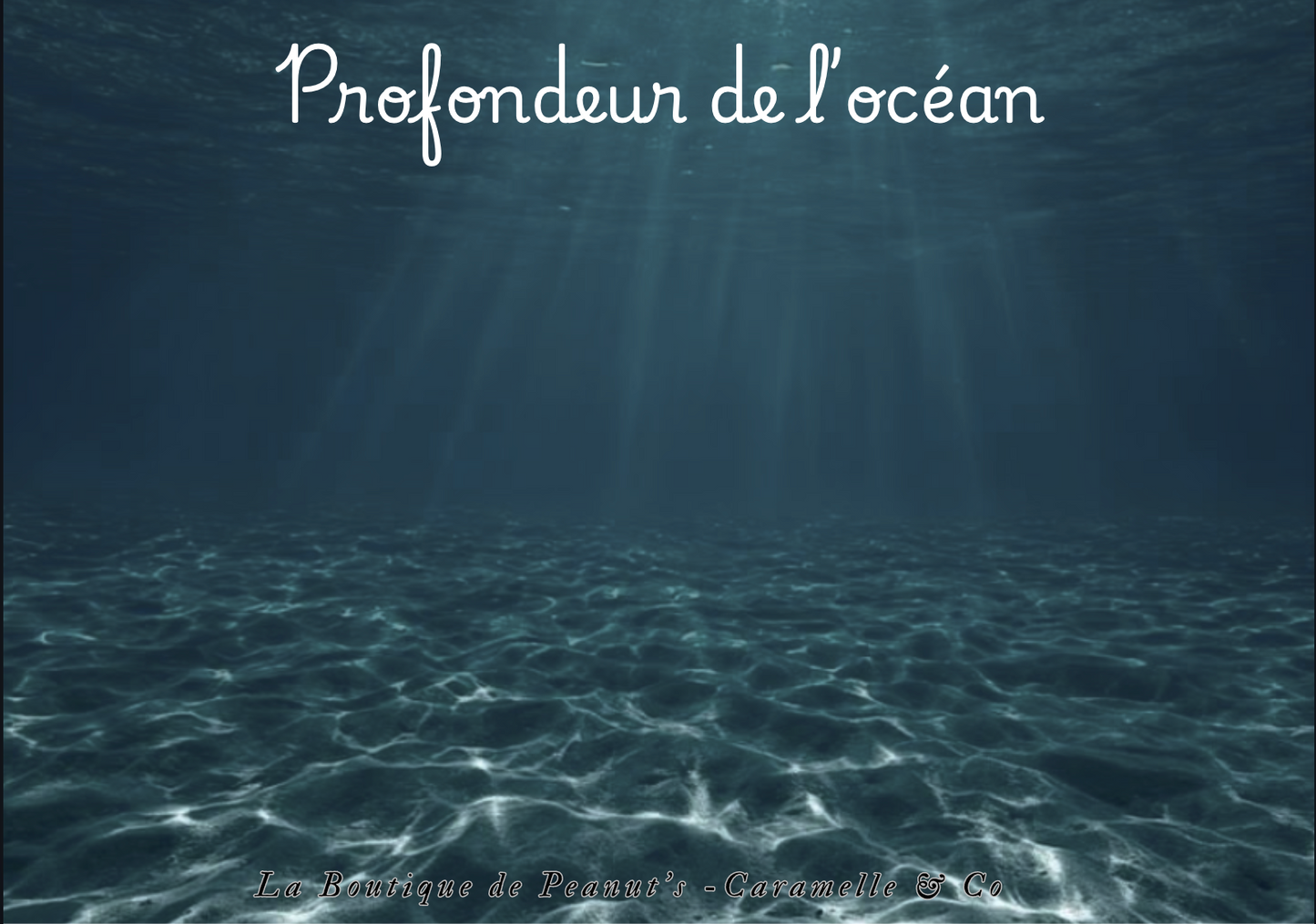 Mission Océan- les gardiens des animaux marins 🐋