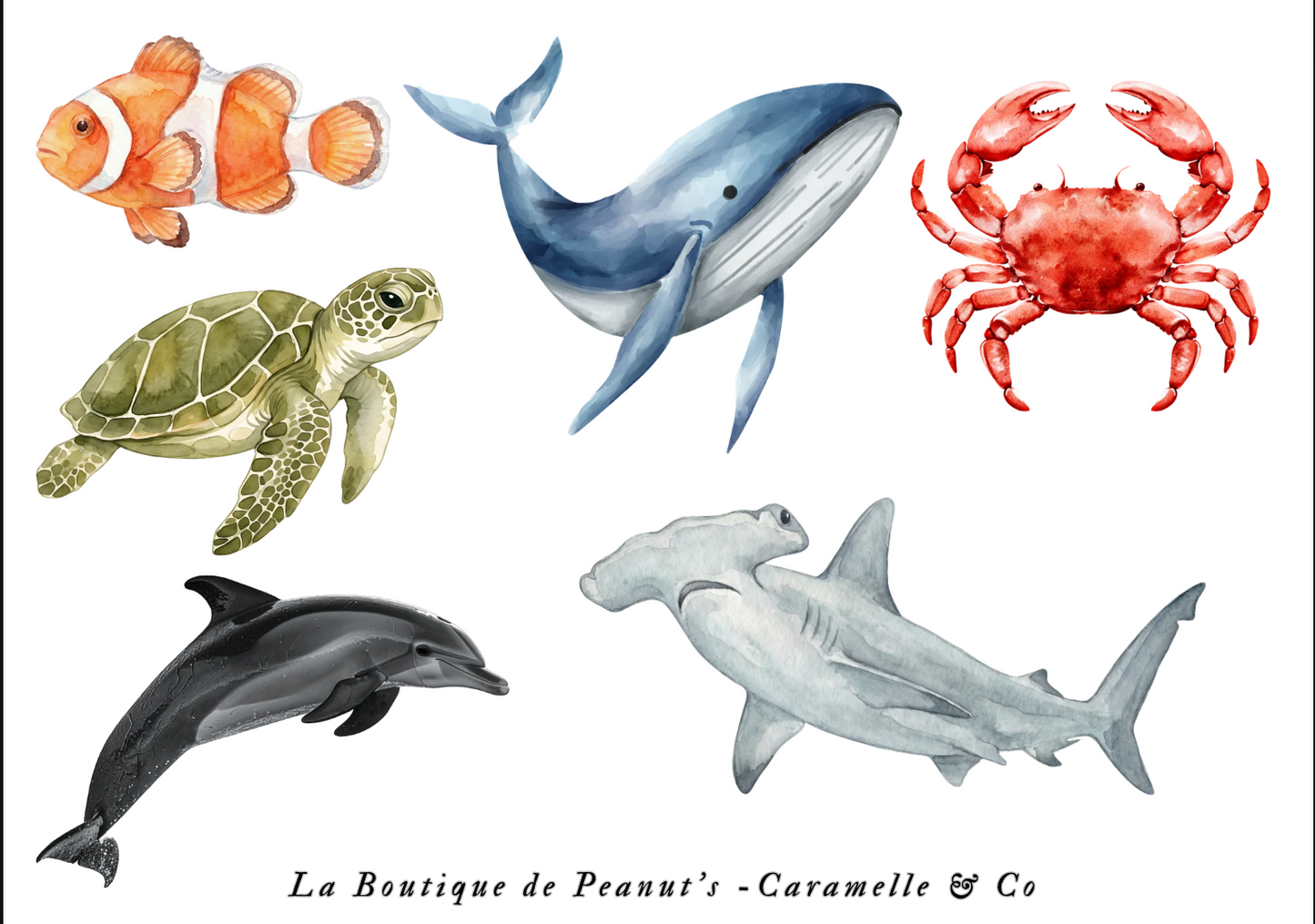 Mission Océan- les gardiens des animaux marins 🐋