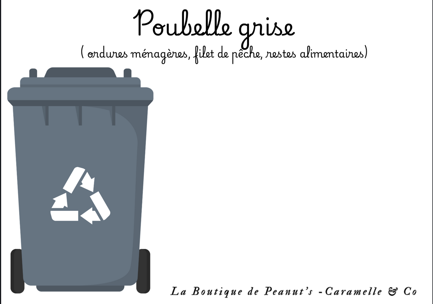 Mission Océan- les gardiens des animaux marins 🐋