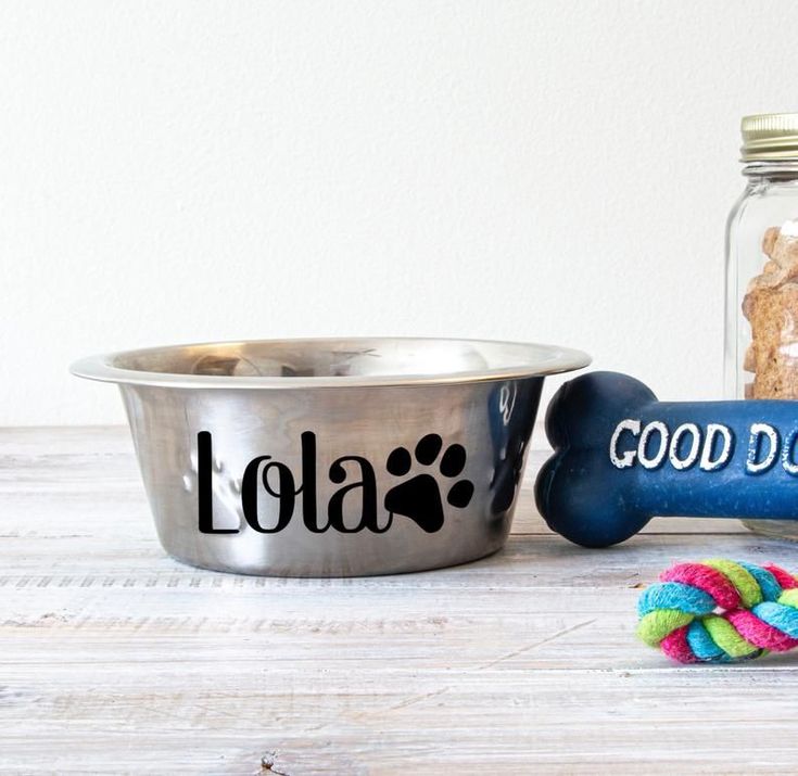 Gamelle pour boule de poils 🐾