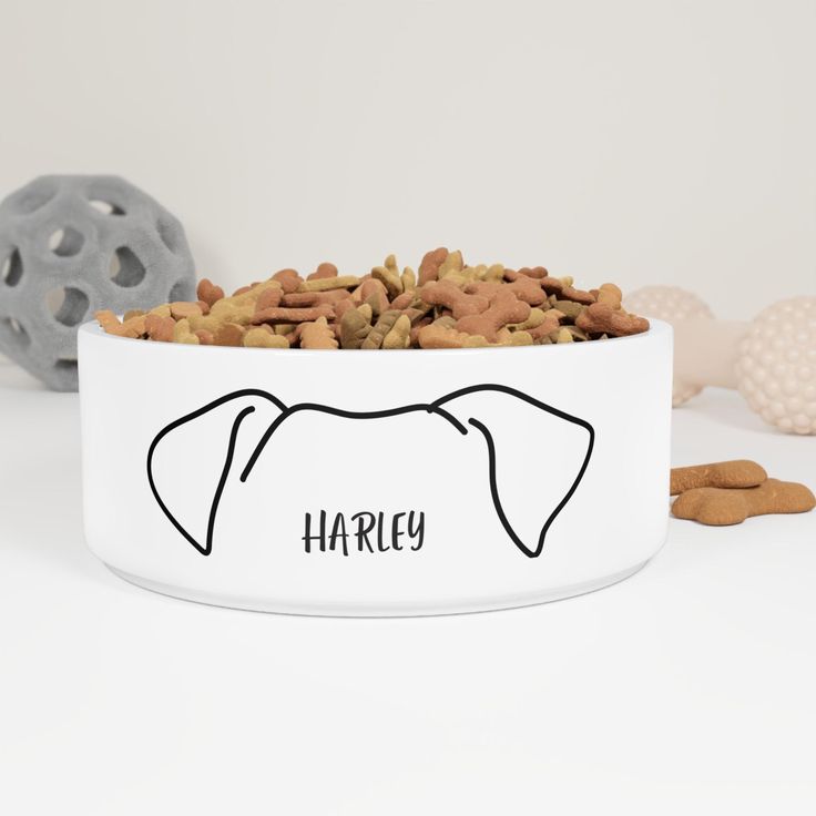 Gamelle pour boule de poils 🐾